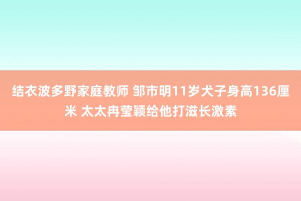 结衣波多野家庭教师 邹市明11岁犬子身高136厘米 太太冉莹颖给他打滋长激素