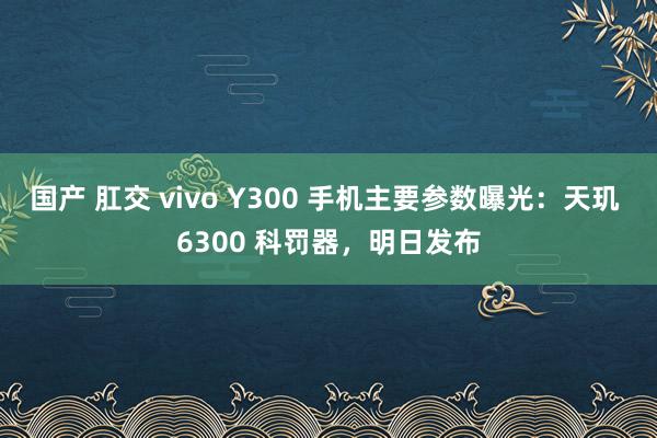 国产 肛交 vivo Y300 手机主要参数曝光：天玑 6300 科罚器，明日发布