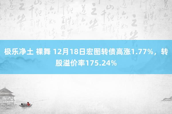 极乐净土 裸舞 12月18日宏图转债高涨1.77%，转股溢价率175.24%