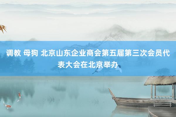 调教 母狗 北京山东企业商会第五届第三次会员代表大会在北京举办