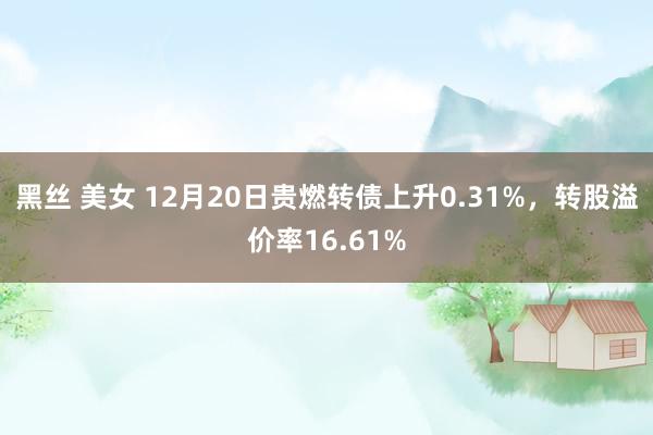 黑丝 美女 12月20日贵燃转债上升0.31%，转股溢价率16.61%