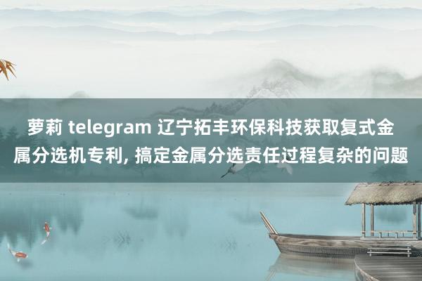 萝莉 telegram 辽宁拓丰环保科技获取复式金属分选机专利， 搞定金属分选责任过程复杂的问题