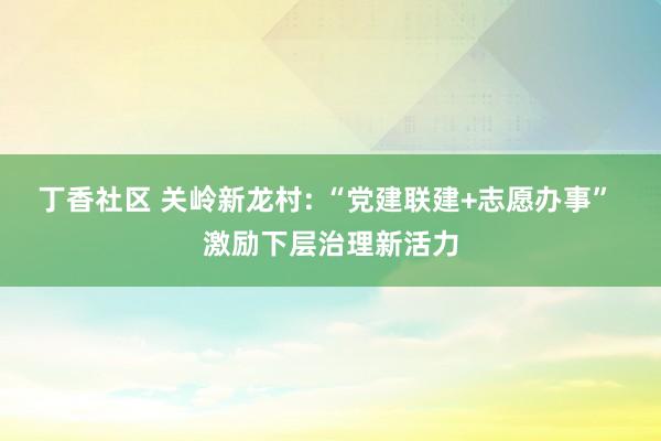 丁香社区 关岭新龙村: “党建联建+志愿办事” 激励下层治理新活力