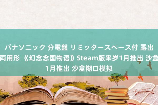 パナソニック 分電盤 リミッタースペース付 露出・半埋込両用形 《幻念念国物语》Steam版来岁1月推出 沙盒糊口模拟