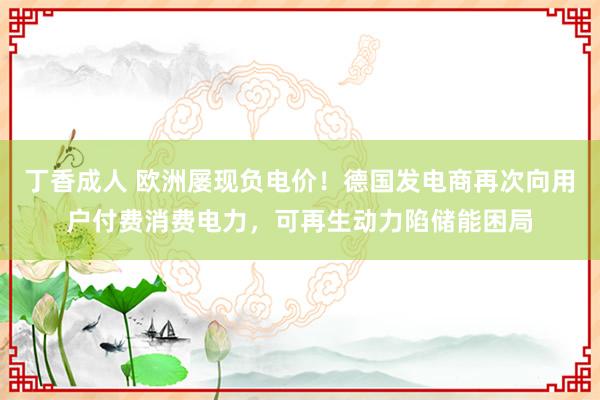 丁香成人 欧洲屡现负电价！德国发电商再次向用户付费消费电力，可再生动力陷储能困局