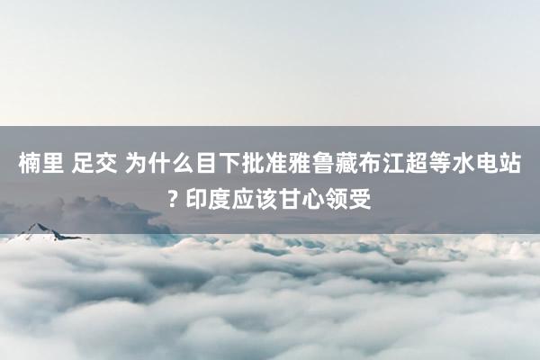 楠里 足交 为什么目下批准雅鲁藏布江超等水电站? 印度应该甘心领受