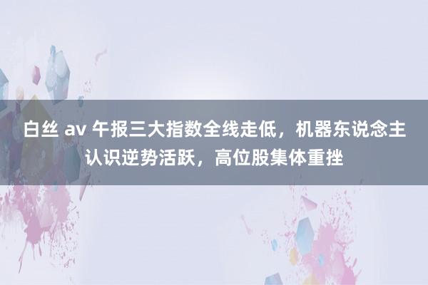 白丝 av 午报三大指数全线走低，机器东说念主认识逆势活跃，高位股集体重挫