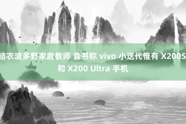 结衣波多野家庭教师 音书称 vivo 小迭代惟有 X200S 和 X200 Ultra 手机