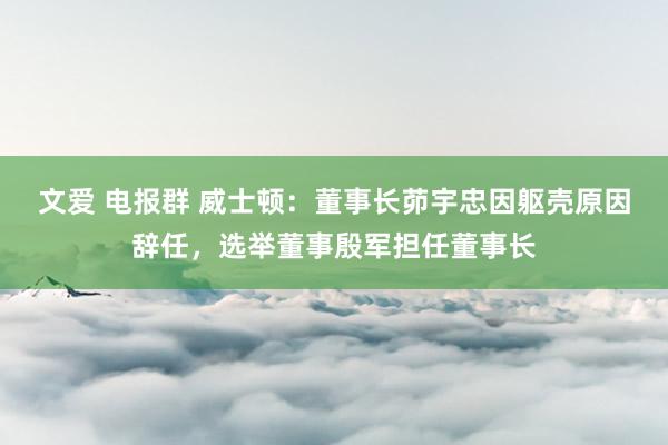 文爱 电报群 威士顿：董事长茆宇忠因躯壳原因辞任，选举董事殷军担任董事长