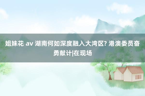 姐妹花 av 湖南何如深度融入大湾区? 港澳委员奋勇献计|在现场